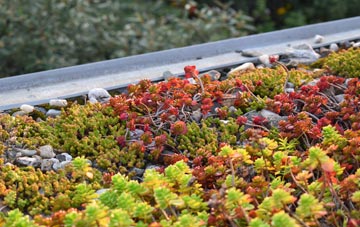 the cost of Woodbridge Walk green roof installation