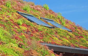 Woodbridge Walk living roof systems