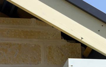 soffit repair Woodbridge Walk